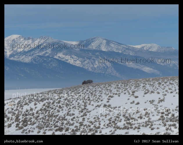 Far and Further - Corvallis MT