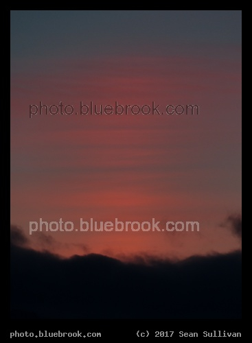 Pink Lines - Corvallis MT