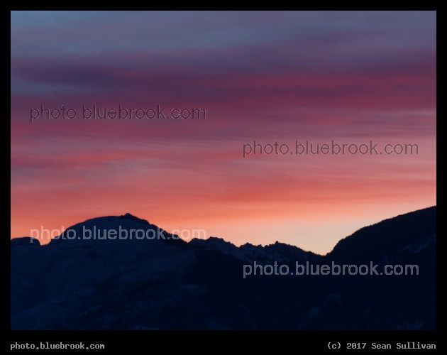 Violet Streaks - Corvallis MT