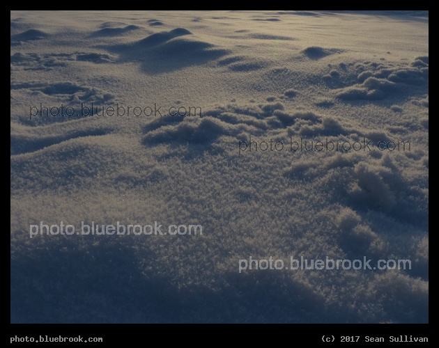 Indigo Shadows - Corvallis MT