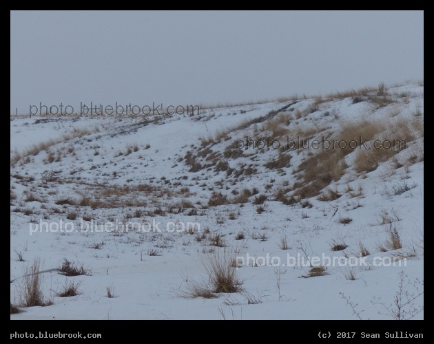 Snow on Softly Rolling Slopes - Corvallis MT