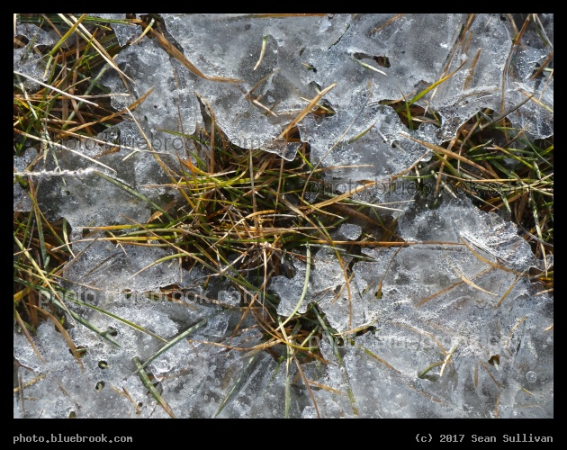 Spring? - Corvallis MT