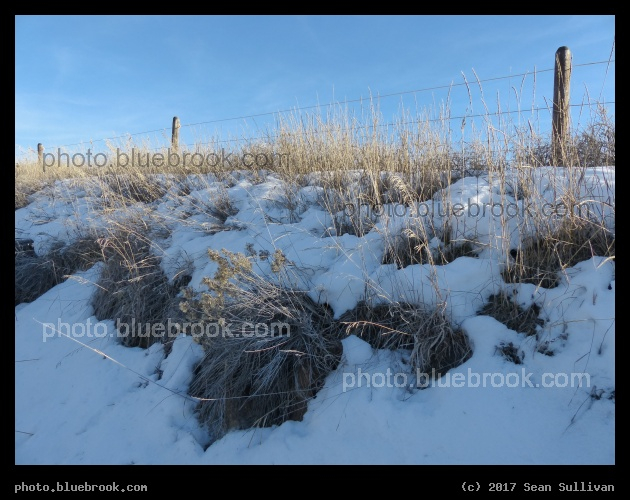 Melting Snow - Corvallis MT
