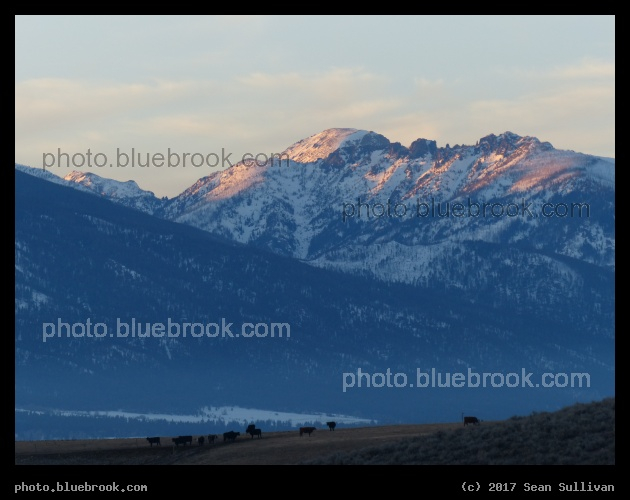 Fading Light - Corvallis MT
