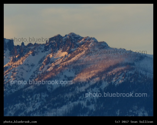 Long Shadows - Corvallis MT