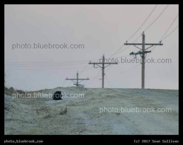 Cat and Electricity - Corvallis MT