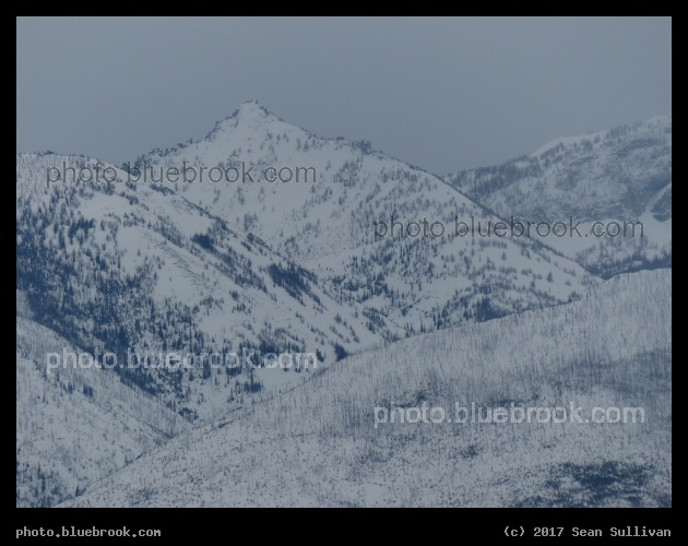 Frosted Mountains - Corvallis MT