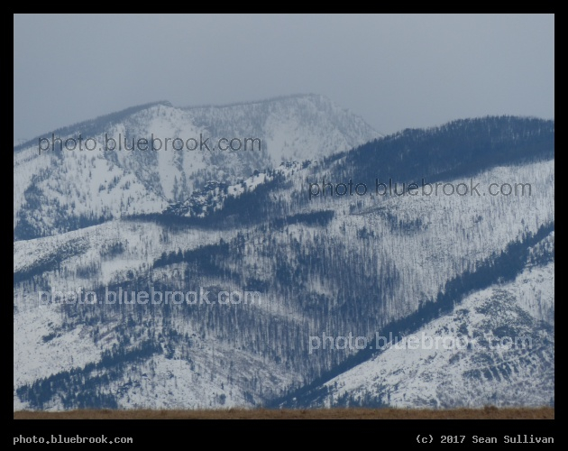 Frosted Mountains II - Corvallis MT