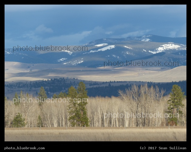 Sapphires in Early Spring - Sapphire Mountains, Victor MT