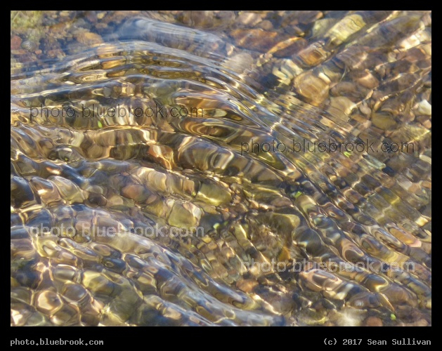 Creek Ripples - Corvallis MT