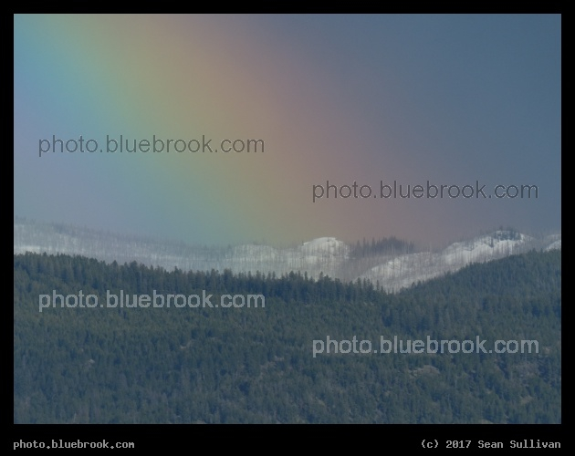 Sapphires at the End of the Rainbow - Sapphire Mountains, Corvallis MT