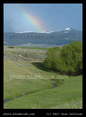 Sans Unicorn - Corvallis MT