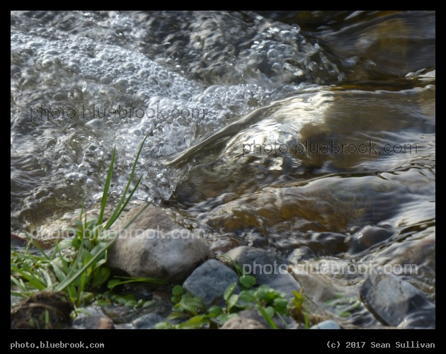 Bubbles and Ripples - Corvallis MT