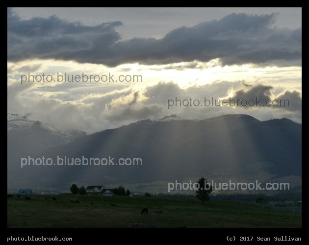 More Sunbeams - Corvallis MT