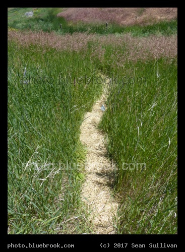 New Path - Corvallis MT