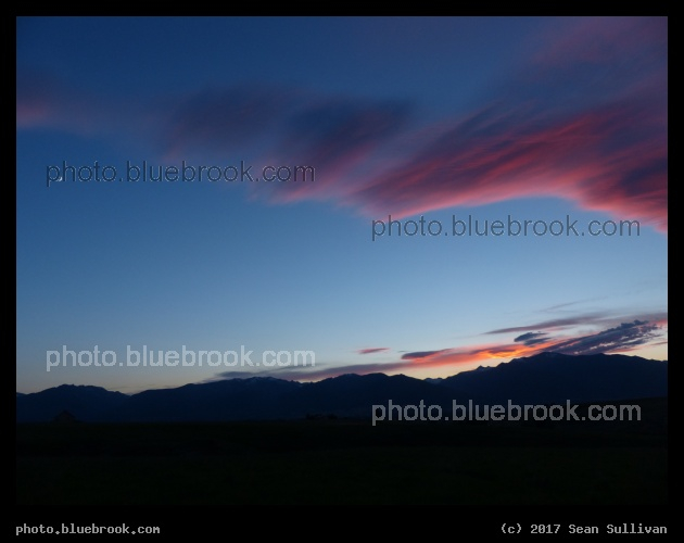 Mesmerize - Corvallis MT