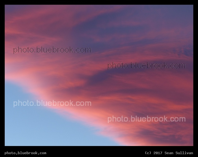 Pink Mist - Corvallis MT