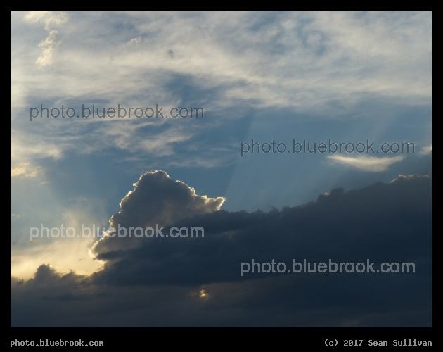 Raised Rays - Corvallis MT