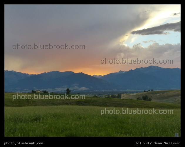 Green Valley at Sunset - Corvallis MT