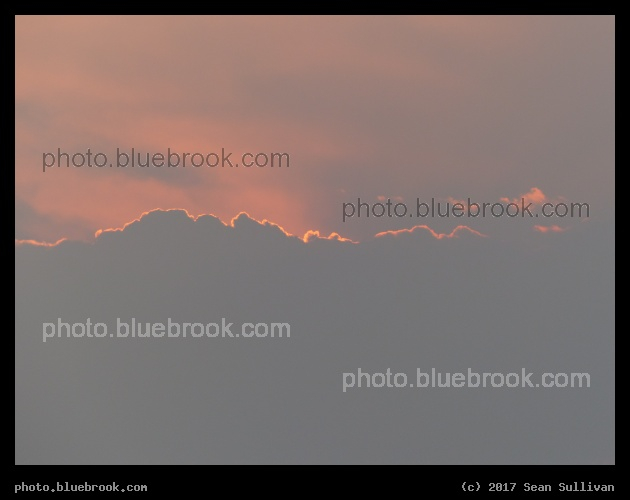 Squiggly Pink Line - Corvallis MT