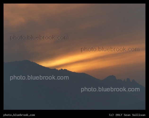 Pair of Streaks - Corvallis MT