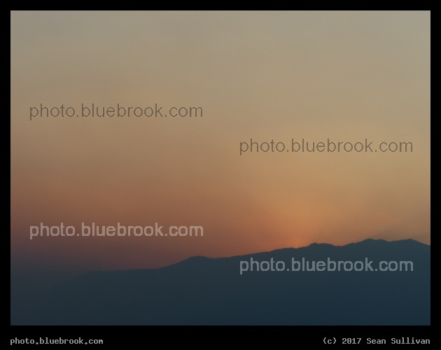 Peach Haze - Corvallis MT