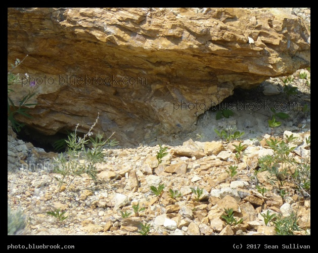 Loose Rock at Calvert Hill - Calvert Hill, Beaverhead National Forest, Montana