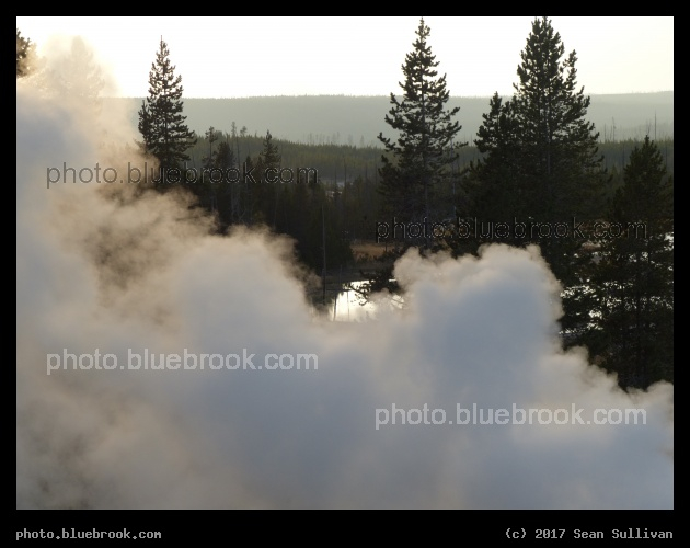 Norris Steam - Norris Geyser Basin, Yellowstone National Park