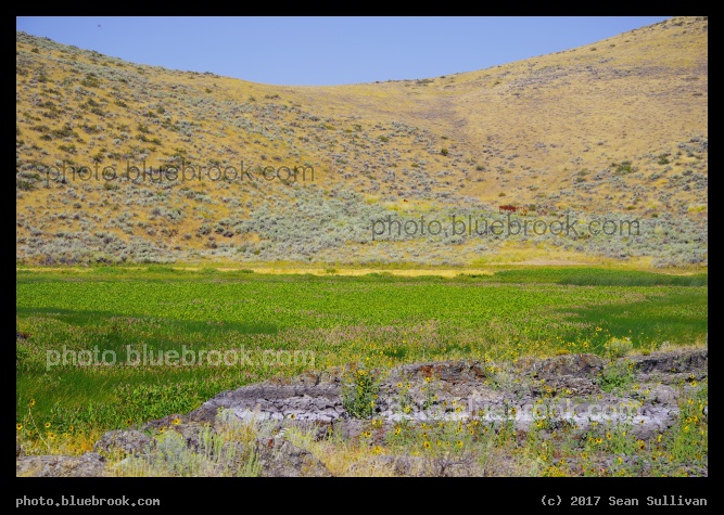 Vegetation at Lava Lake - Lava Lake, on the north edge of the Craters of the Moon National Monument, Idaho