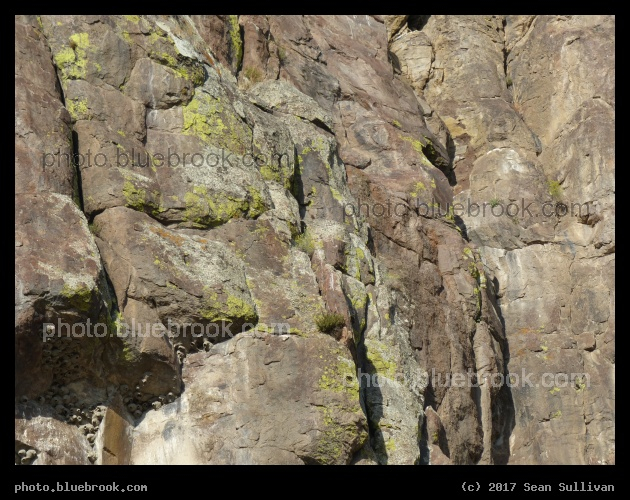 Jackpot Bird Nests - Salmon Falls Creek, Jackpot NV