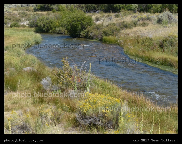 Birch Creek of Idaho - Birch Creek, near Lone Pine ID