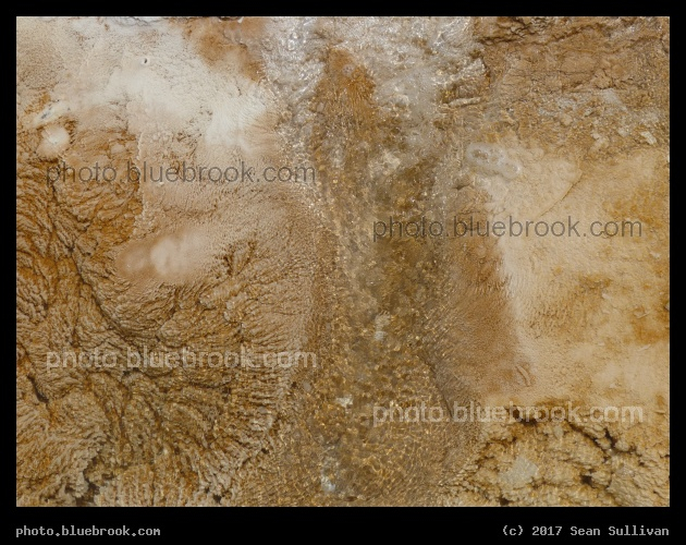 Water at Mammoth - Mammoth Hot Springs, Yellowstone National Park