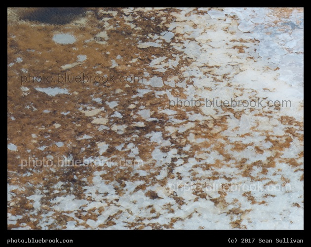 Brown, White, and Water - Mammoth Hot Springs, Yellowstone National Park