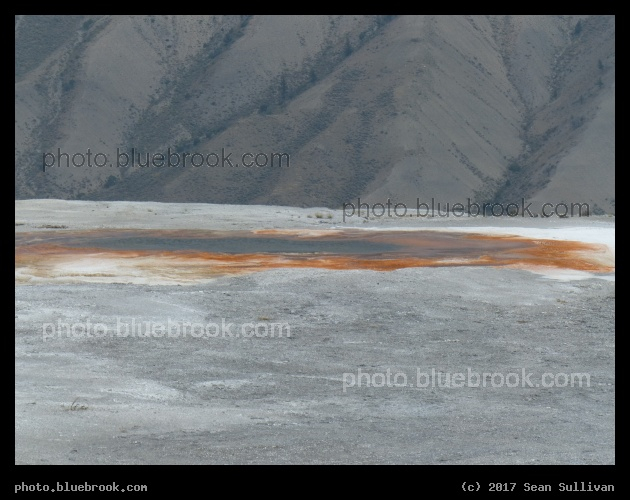 Orange Ring - Mammoth Hot Springs, Yellowstone National Park