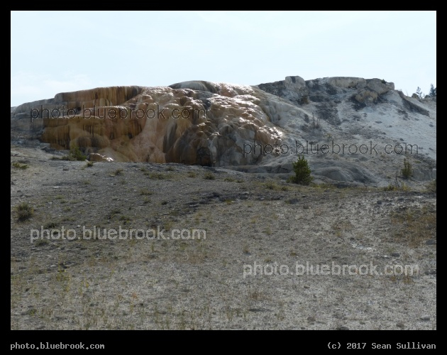 Alien Minerals - Mammoth Hot Springs, Yellowstone National Park