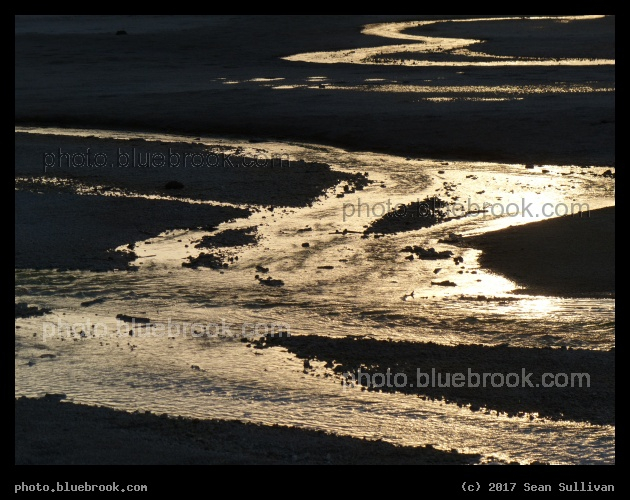 Winding Water - Norris Geyser Basin, Yellowstone National Park