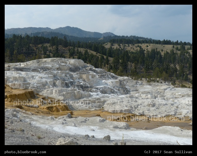 Hot Springs Hillside - Mammoth Hot Springs, Yellowstone National Park