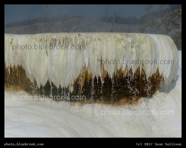 Hot Spring Feathers - Mammoth Hot Springs, Yellowstone National Park