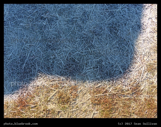 November Light - As the shadow of a car moves, revealing ground to the morning sun, frost evaporates.  Corvallis MT