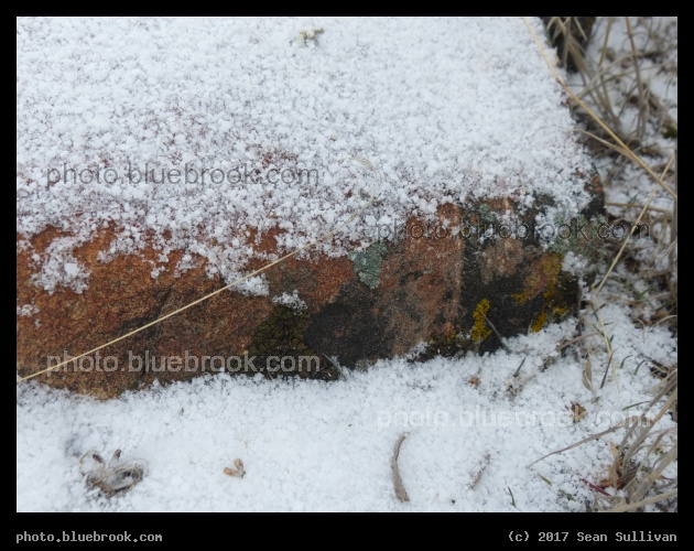 Snow on a Rock - Corvallis MT