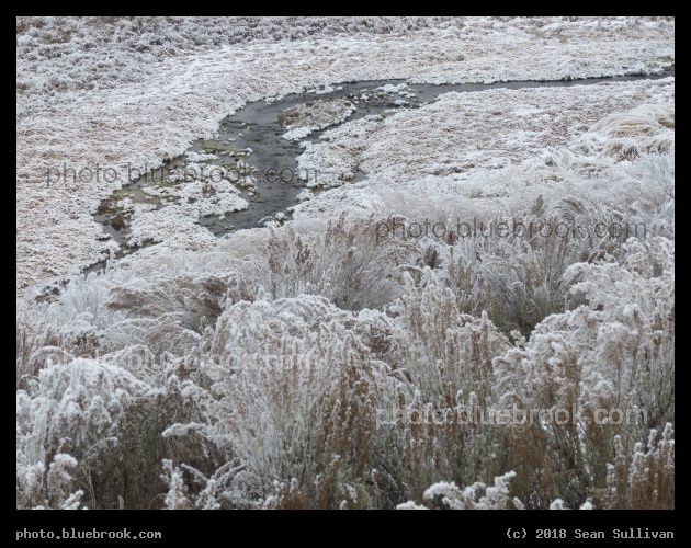 Stream in Winter - Corvallis MT