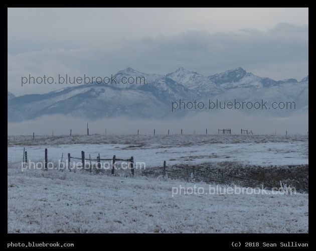Winter Fields - Corvallis MT