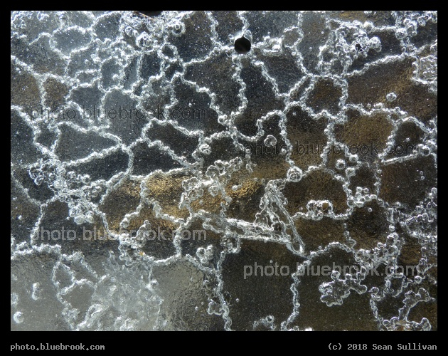 Laced Ice - Corvallis MT