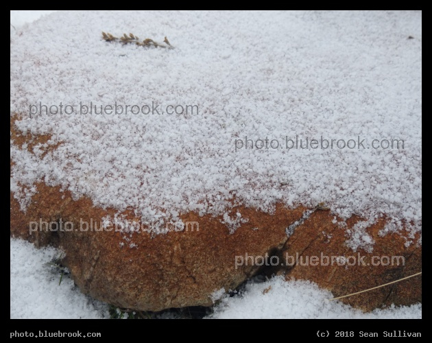 Snow on a Rock II - Corvallis MT