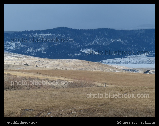 Across Fields - Corvallis MT