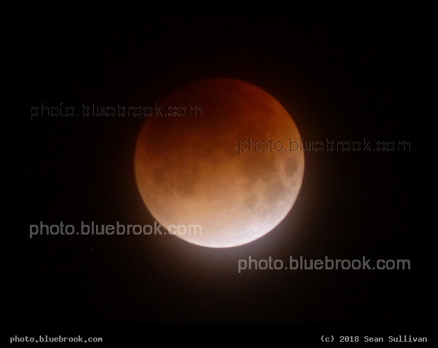 Entering Lunar Totality - Total lunar eclipse beside the Beehive star cluster, Corvallis MT