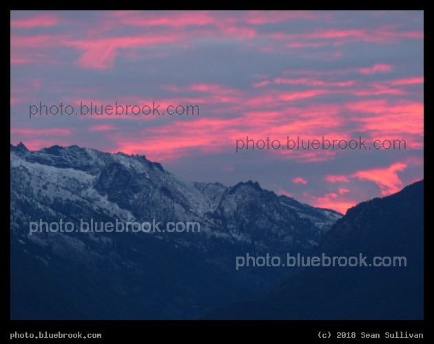 Fluorescent Pink and Navy - Corvallis MT