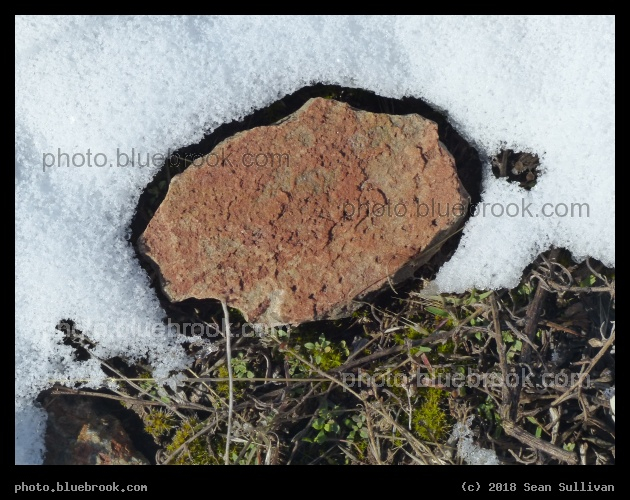Red Rock in Winter - Corvallis MT