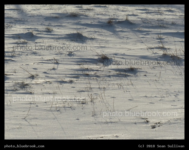 Snow and Grass - Corvallis MT