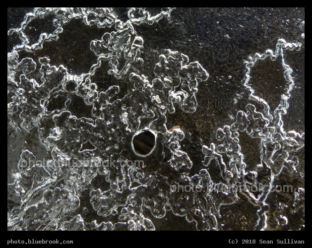 Tiny Hole in the Ice - Corvallis MT